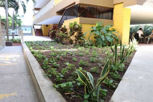 Nuevo Colegio Del Prado, foto 20