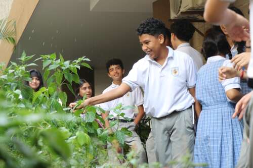 Nuevo Colegio Del Prado, foto 23