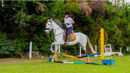 Campestre De Guilford, foto 8