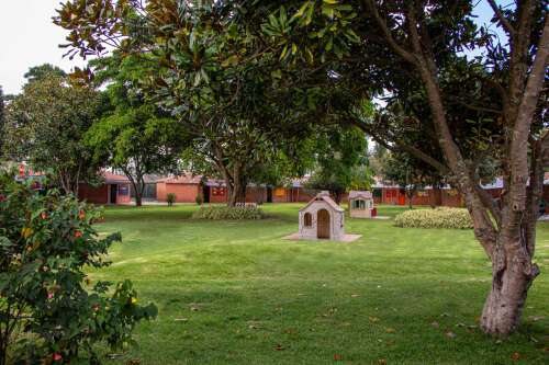Gimnasio del Norte, foto 5