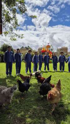 Foto Colegio El Bosque Bilingual School #2