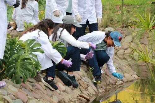 Ciudad Educadora Espíritu Santo, foto 43