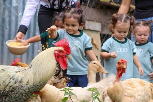 Ciudad Educadora Espíritu Santo, foto 23