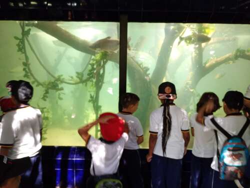 Foto Colegio Bautista #3