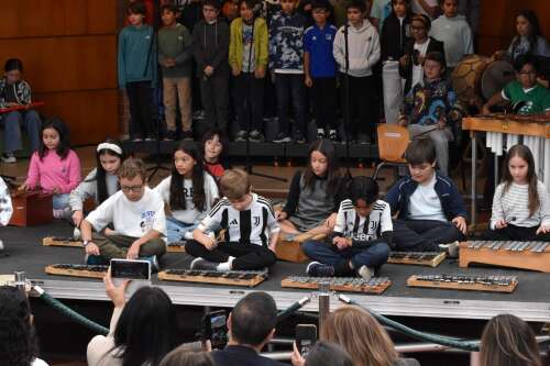 Foto Colegio Gimnasio La Montaña #2