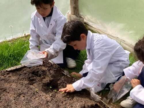 Foto Colegio Internacional SEK Colombia #2