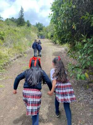 Foto Colegio Internacional SEK Colombia #2