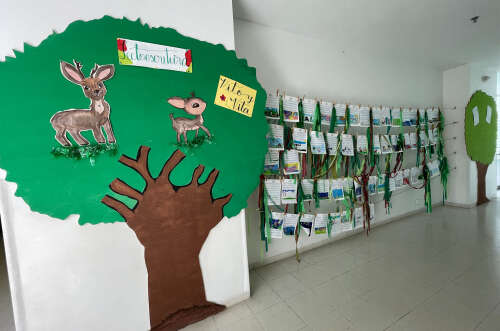 Greeners Preschool By Evergreen School, foto 17