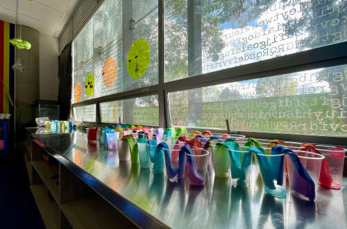 Greeners Preschool By Evergreen School, foto 11