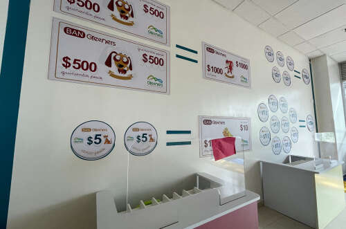 Greeners Preschool By Evergreen School, foto 7