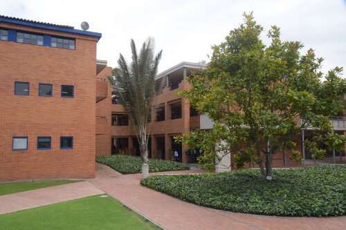 Foto Colegio Los Nogales #2
