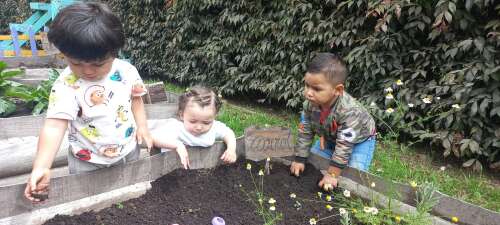 Jardín Infantil, foto 5
