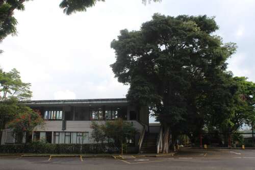 Gimnasio Pereira, foto 4