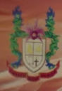 Logo de San Nicolás