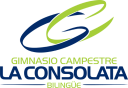 Logo de La Consolata
