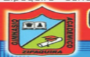 Logo de Académico
