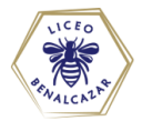 Logo de Instituto Liceo Benalcazar