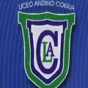 Logo de Andino