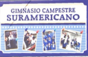 Logo de Suramericano