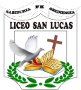 Logo de Liceo San Lucas