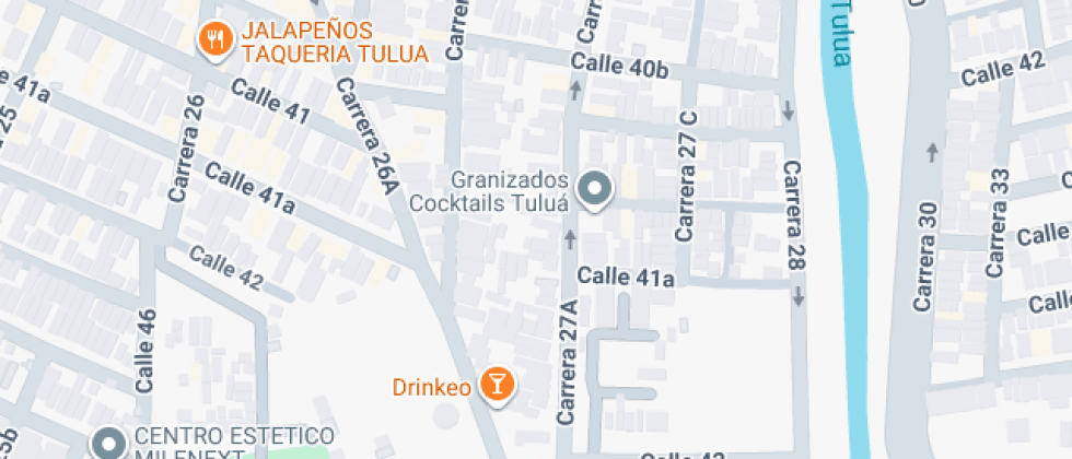 Instituto Guillermo Ponce De Leon