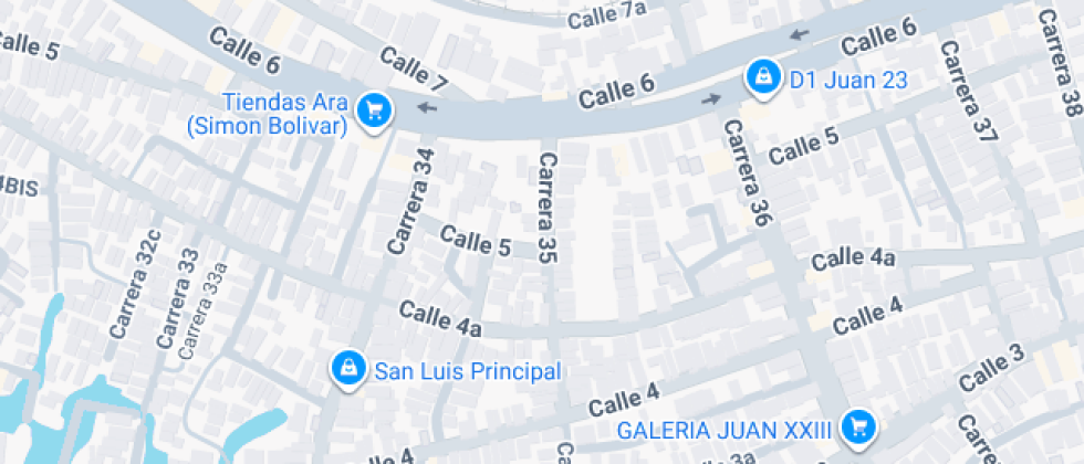 Instituto Institucion Educativa San Buenaventura