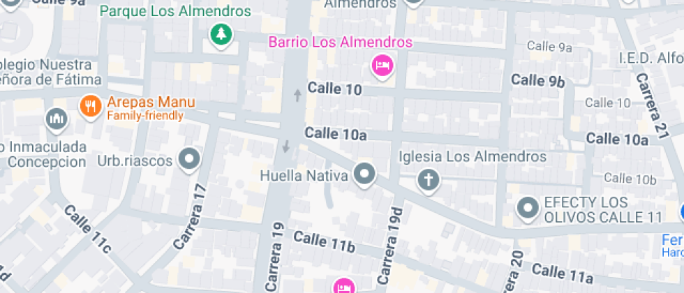 Instituto Ariano