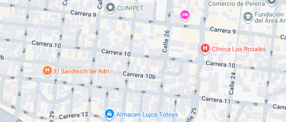 Colegio Liceo Pedagogico El Mundo Mágico Del Aprendizaje