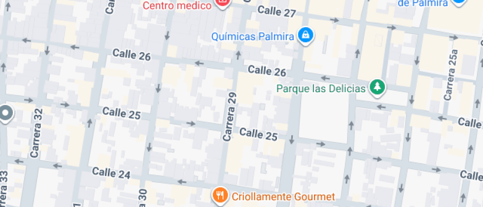 Instituto Liceo Jardín Bachillerato
