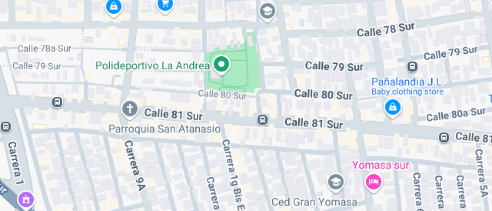 Instituto Liceo Latinoamericano Del Sur