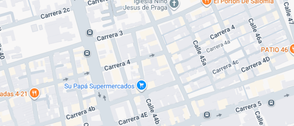 Colegio Liceo Luigi Orione