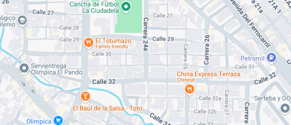 Liceo Pedagogico  Nuevo Milenio