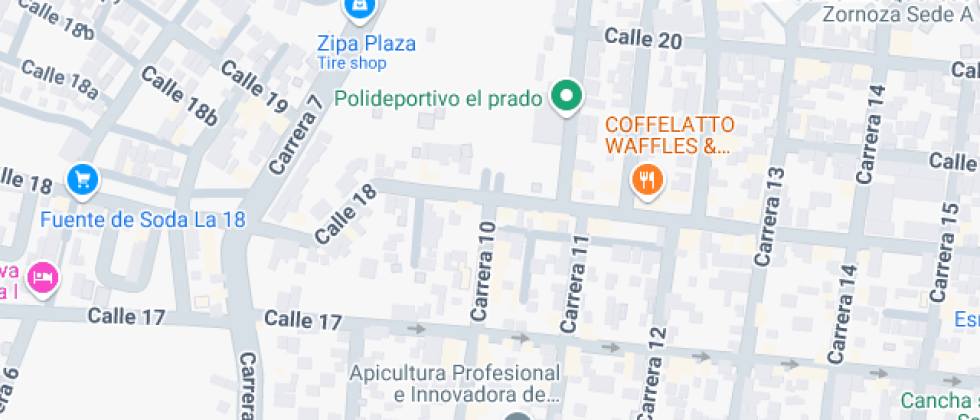 Gimnasio Pedagógico Nuestra Señora De Lourdes