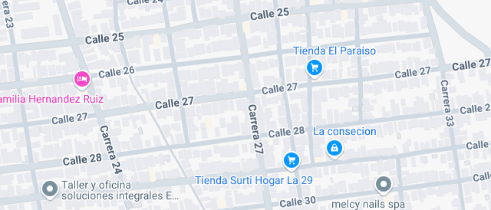 Instituto Pedagogico Nuestra Señora Del Carmen