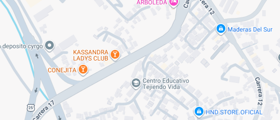 Instituto Cent Educ Tejiendo Vida