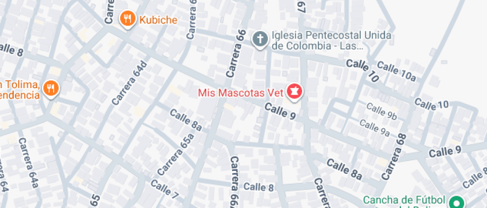 Instituto El Milagroso