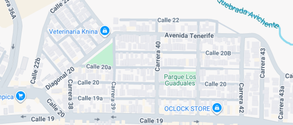 Colegio Gimnasio Kid Explorers